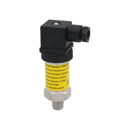4-20 mA pressure sensor for swimming pool water