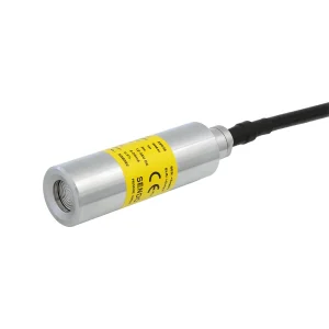 Submersible Pressure Transducer SS636